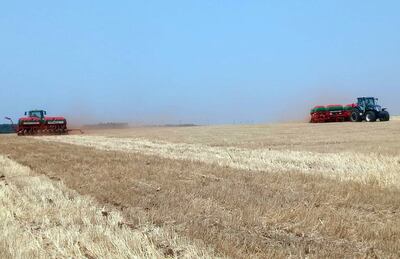 De a dos se realizan los trabajos de siembra de soja en gran parte de la región Oriental. Las semillas ya son depositadas con fertilizantes que deben cubrir los requerimientos del cultivo.