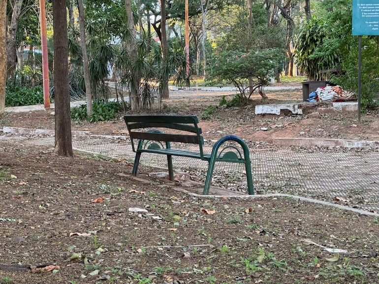 Banco verde en un parque desierto con hojas caídas y un cartel borroso al fondo, rodeado de naturaleza.