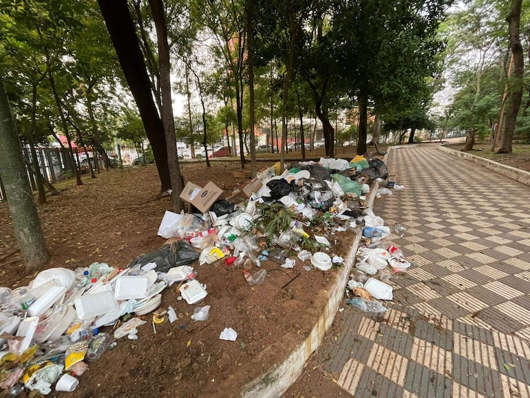 Área verde con basura acumulada: plásticos, cartones y desechos orgánicos, sin personas visibles en el entorno.