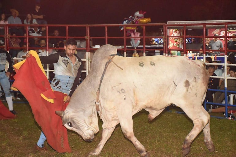 El torín fue declarado patrimonio tradicional y cultural del Paraguay tras la sanción del proyecto de ley en la Cámara de Diputados.