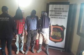 Tres presuntos abigeos detenidos tras el hurto de 19 vaquillas preñadas.