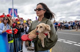 Alexandra Saint-Mleux, esposa Charles Leclerc, con su perro Leo en brazos en el Gran Premio de Gran Bretaña de Fórmula 1. (Ben STANSALL / AFP)