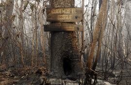 Fotografía de un letrero en un árbol tras un incendio en la comunidad, en Río Blanco (Bolivia).