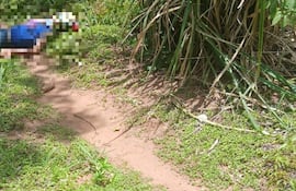 Imagen del cuerpo tendido de la anciana en un sendero.