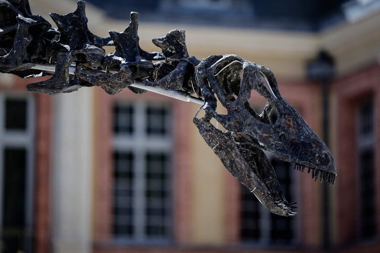 El esqueleto de dinosaurio Apatosaurus bautizado "Vulcain", expuesto frente al castillo Dampierre antes de una subasta que se realizará en Dampierre-en-Yvelines, al sur de París.