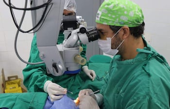 Cada 27 de febrero se celebra el Día Internacional del Trasplante de Órganos y Tejidos.