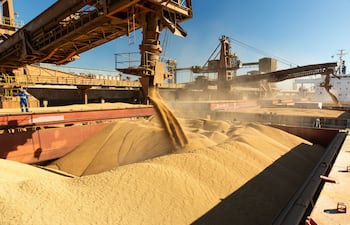 Soja: US$ 1.020 millones más en divisas y dos millones más de toneladas