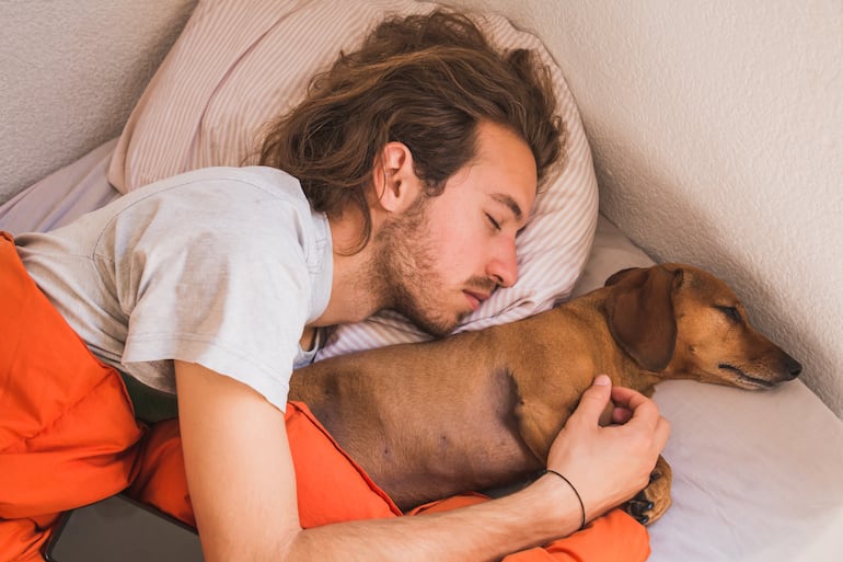 Perro en la cama de sus humanos.