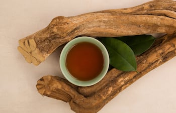 Ayahuasca.