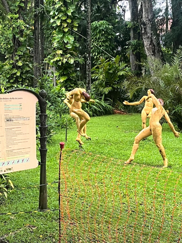 Jardín Botánico de Río de Janeiro, Brasil.
