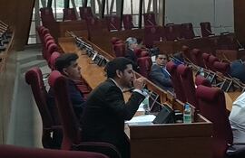 Raúl Benitez recriminó la complicidad de sus colegas cartistas pero sobre todo del presidente Santiago Peña.