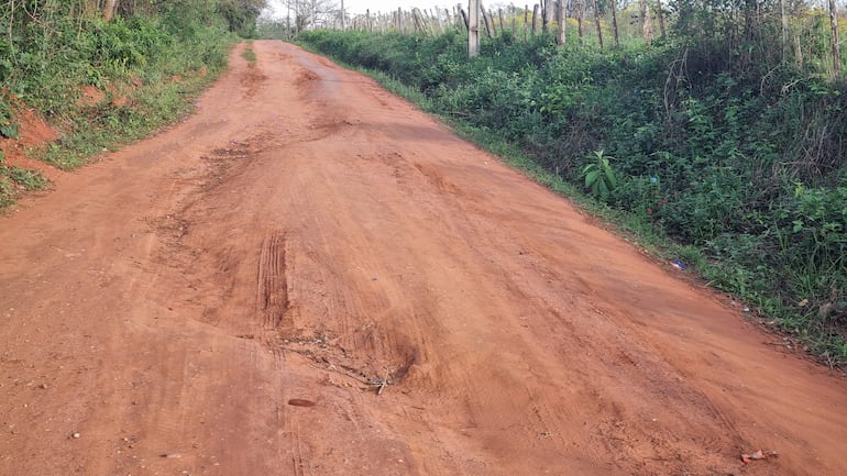 Camino de tierra en área rural con vegetación densa a los lados y surcos visibles por el paso de vehículos.
