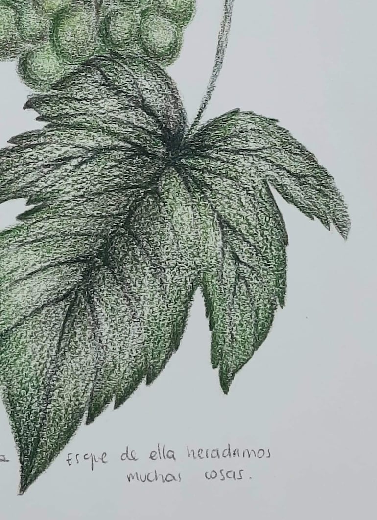 Dibujo de hojas verdes con sombreados en un fondo blanco; texto manuscrito al pie sobre herencias naturales.