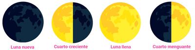 Las fases de la luna