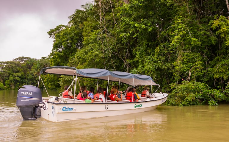 Turistas en el Parque Nacional Soberanía, Panamá, América Central.