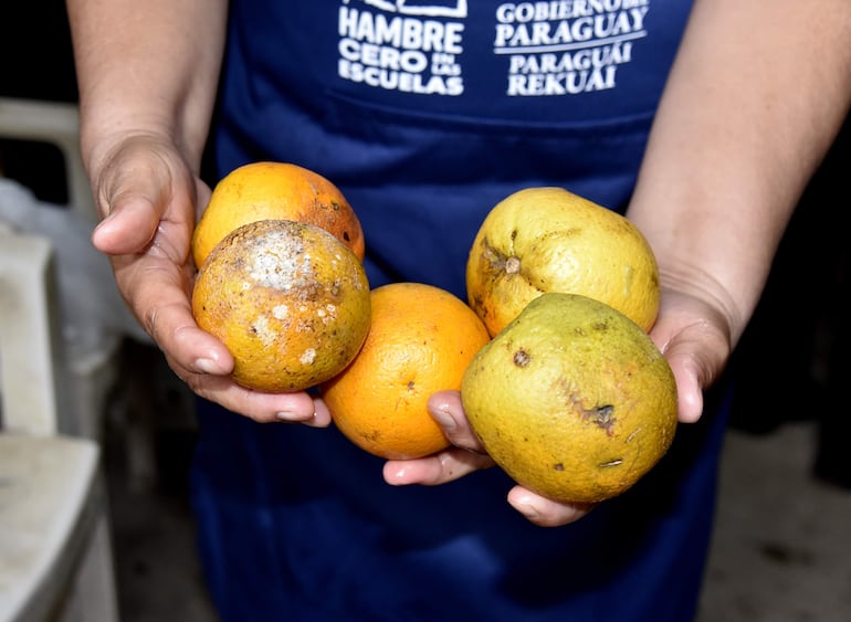 Naranjas del programa Hambre Cero, ya estaban podridas antes de llegar a los niños en la escuela Colonia Belén.