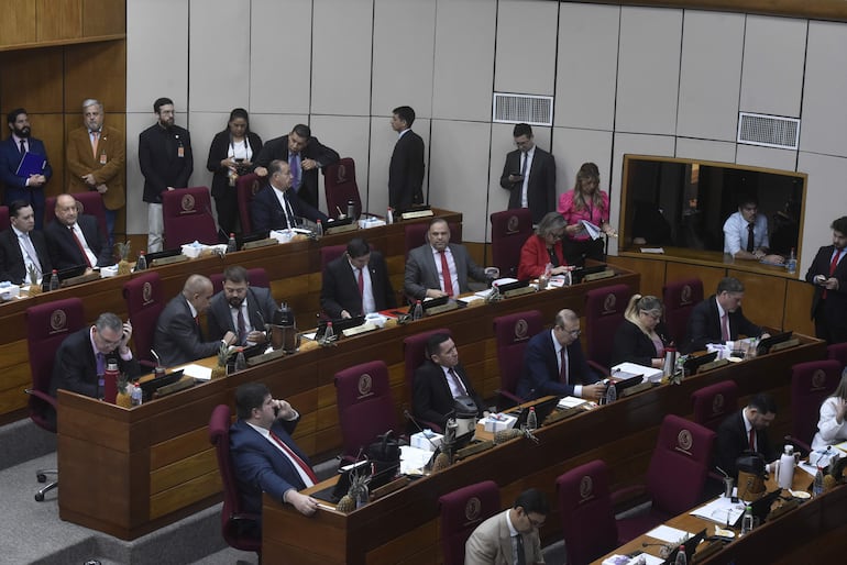 Senadores opositores cuestionaron gobierno de Santiago Peña durante ultima sesión del año.