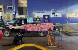 Dos perros de aduana en posición de alerta junto a un coche negro cargado de paquetes sospechosos en un control de seguridad.