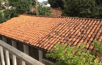 Tejado de barro deteriorado en la Escuela Básica N° 14 y Colegio Nacional República de Chile, con vegetación al fondo.