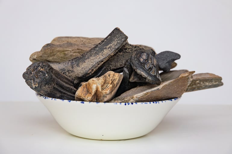 Fósiles prehistóricos de dientes y huesos de megafauna como Mamut lanudo, rinoceronte y bisonte estepario.