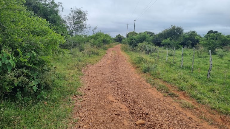 Camino angosto de tierra flanqueado por vegetación densa en un entorno rural y nublado.