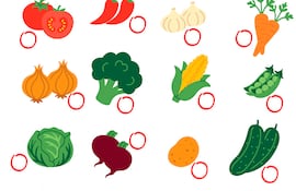 Adivinanzas sobre vegetales