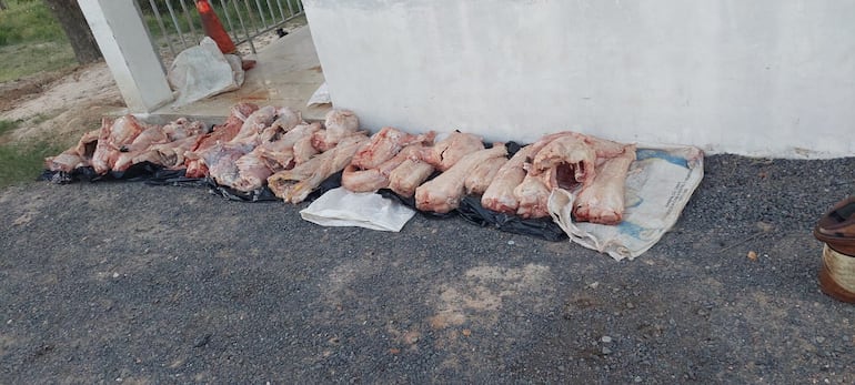Incautan 150 kilos de carne de yakaré en control policial en Villa Oliva