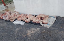 Carne de yacaré incautada.