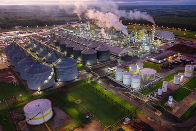 La planta de Nueva Esperanza no es solo la unidad industrial original del grupo: es también un centro de actualización permanente.