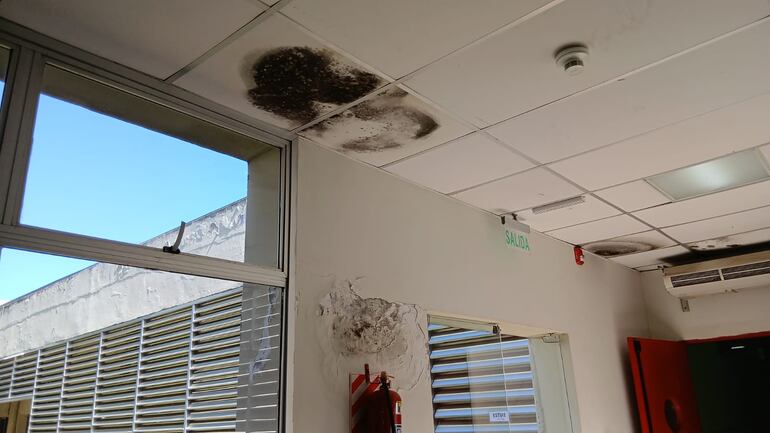 La falta de mantenimiento del edificio es crítico.