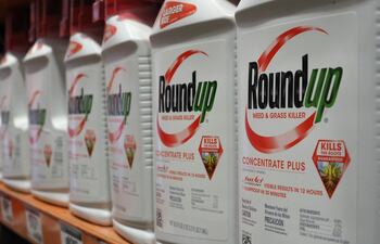 Botellas de Roundup, de Monsanto.