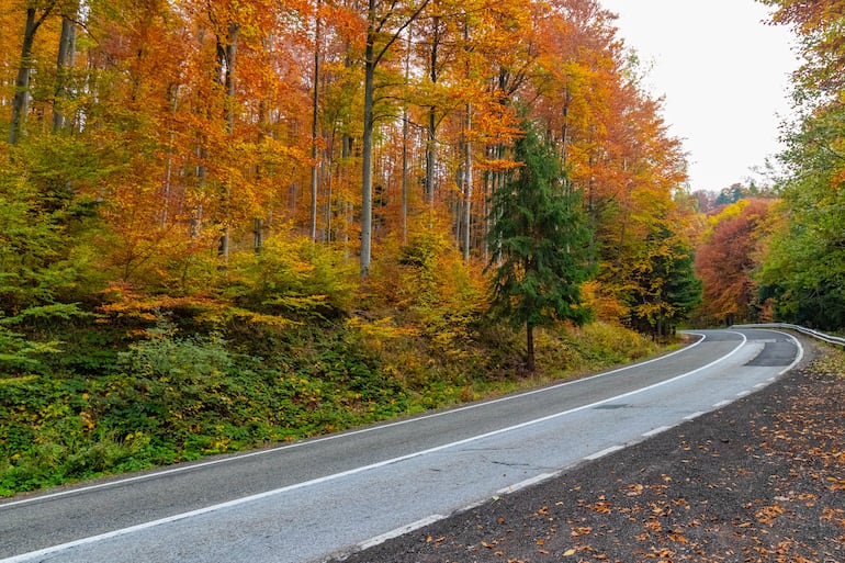Colorida ruta Transfăgărășan en otoño en Rumania.