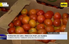 Tomates de oro, comerciantes también denuncian escasez
