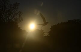 amanecer sol neblina calor frio