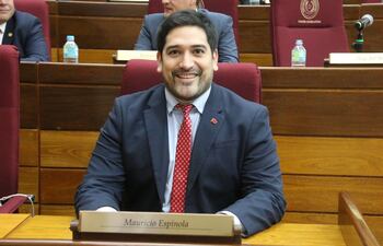 Mauricio Espínola, diputado nacional.