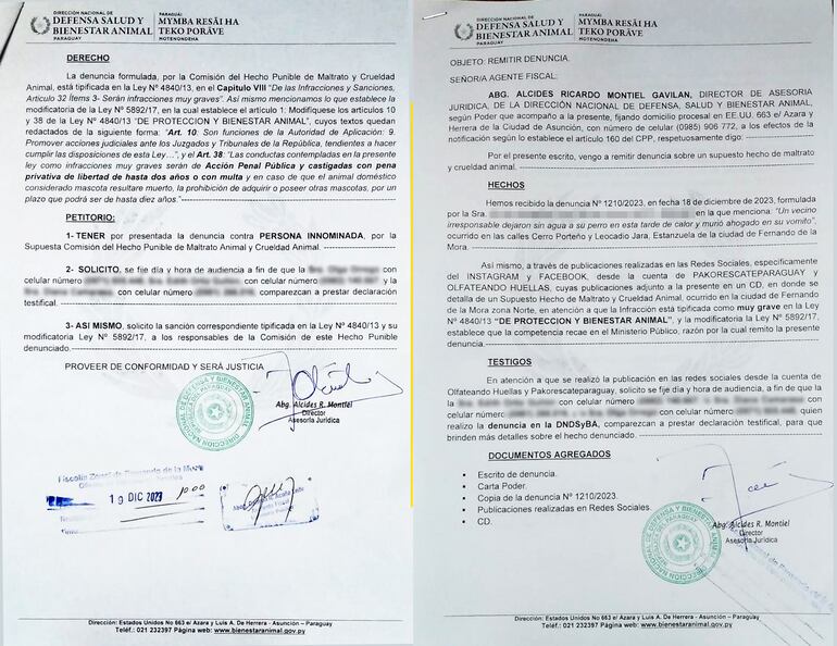 Denuncia presentada ante la Dirección Nacional de Defensa, Salud y Bienestar Animal.