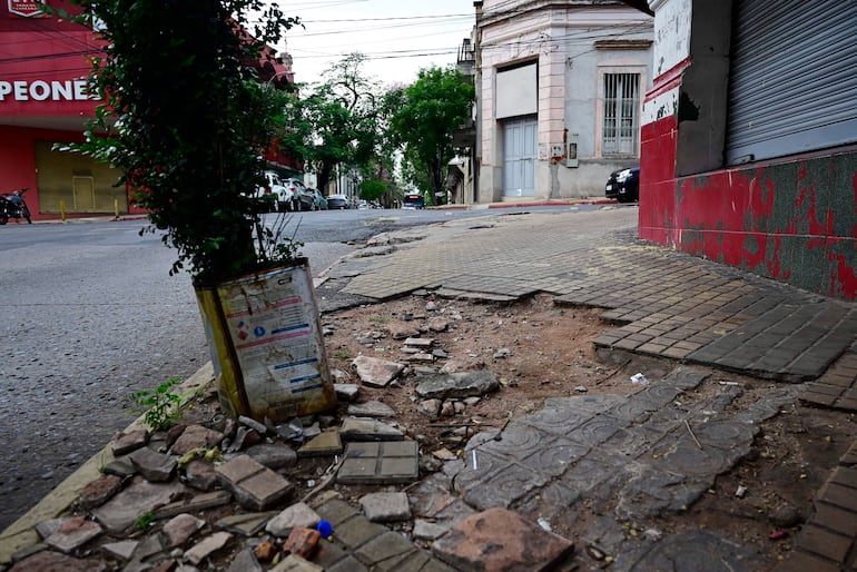 Escena urbana con acera rota y un pequeño arbusto en contenedor inclinado, sin personas visibles.