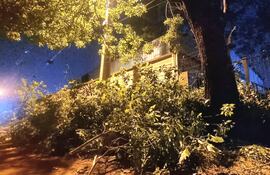 Vecinos denunciaron que funcionarios de la ANDE podaron árboles y los dejaron de manera peligrosa en la ciudad de Luque, zona Confederación Sudamericana de Fútbol.