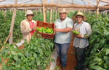 VDB Los agricultores, Wilfrido Maidana, Silvio Riveros y Dionicio Gonzalez, mostrando sus producción de locotes