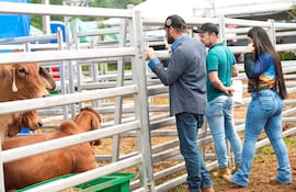 El remate estuvo acompañado de la fuerza conjunta de 12 consignatarias y 30 lotes de invernada, con un total de 2.355 ejemplares de ganado vacuno.