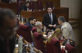 Mauricio Espínola, de barba y cabello oscuro, conversa con Esteban Samaniego, canoso. Una mujer escribe a su derecha, en ambiente legislativo.