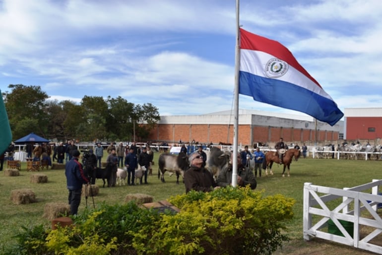 El trabajo de productores y profesionales fortalecen a esta muestra.