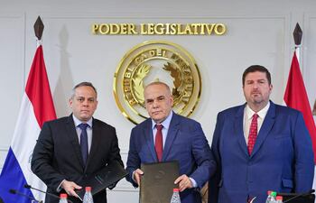 Camilo Benítez con traje azul claro, Basilio Núñez en traje oscuro y Patrick Kemper en traje azul oscuro, en ambiente formal del Poder Legislativo.
