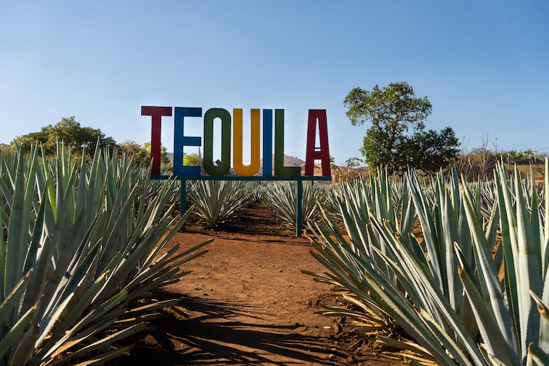 Pueblo de Tequila, México.