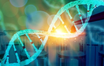 ADN, CRISPR, genética.