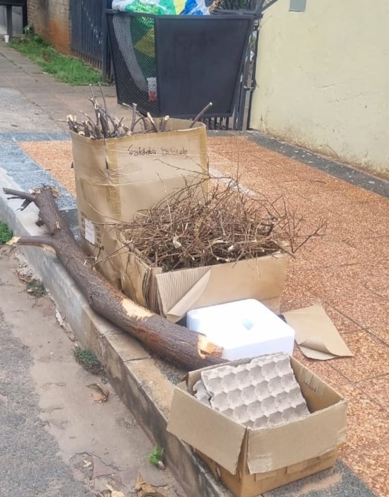 Villa Elisa: Vecinos denuncian falta de recolección de basura desde año nuevo