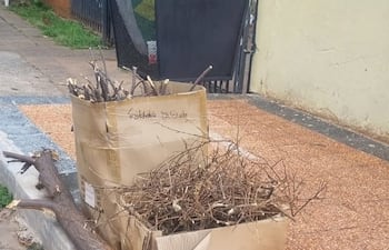 Recolectores de basura llevan dos semanas sin pasar por Tres Bocas, Villa Elisa, denuncian los vecinos.