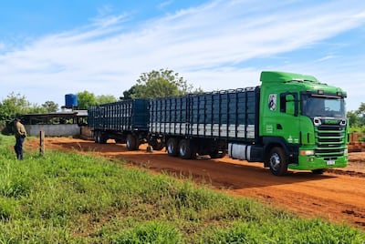 Hombre de ropa oscura y sombrero observa un camión verde Scania con remolque, en un entorno rural con vegetación.