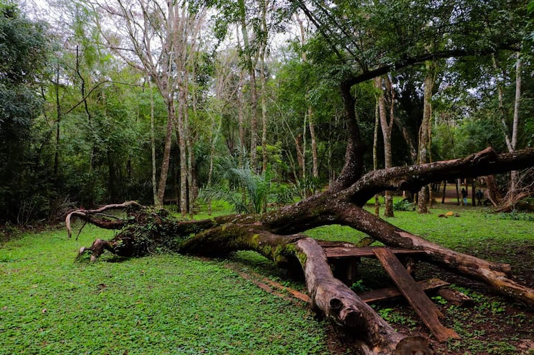 Área de recreación y camping del Parque Nacional Cerro Corá.