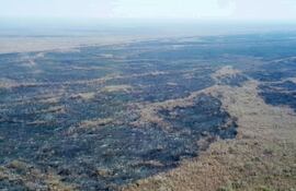Un sobrevuelo permitió localizar los focos del incendio que ayer devoró la masa vegetal del cerro Chovoreca y alrededores.